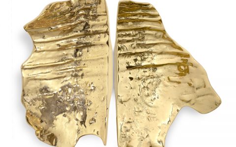 Product of The Week: Leaf Door Hardware