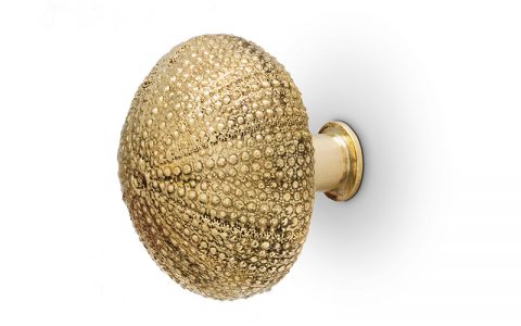 Product of the Week - Urchin Drawer Handle