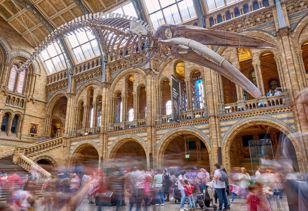 Stay In the Comfort of Your Home and Visit the World's Best Museums 1