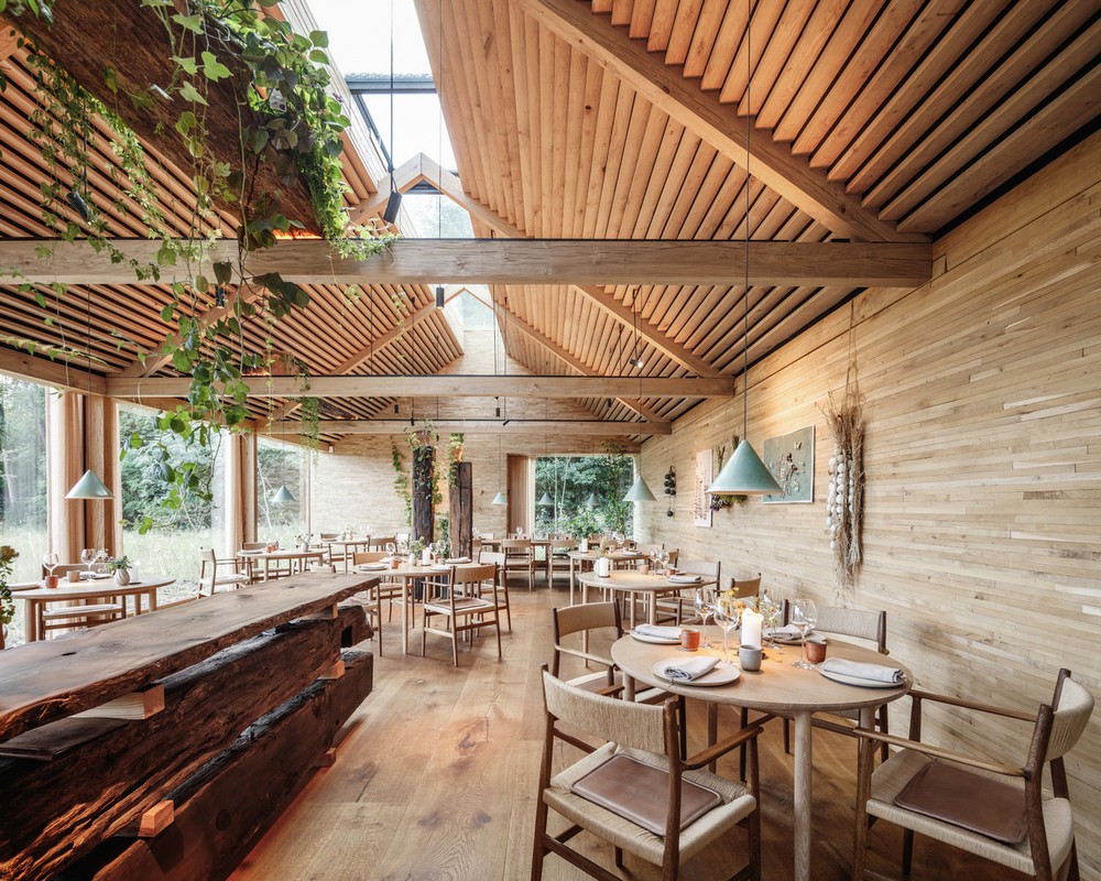 Trend Alert Biophilia, The Art of Bringing Nature Into Interiors 5