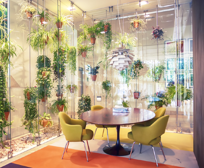 Trend Alert Biophilia, The Art of Bringing Nature Into Interiors