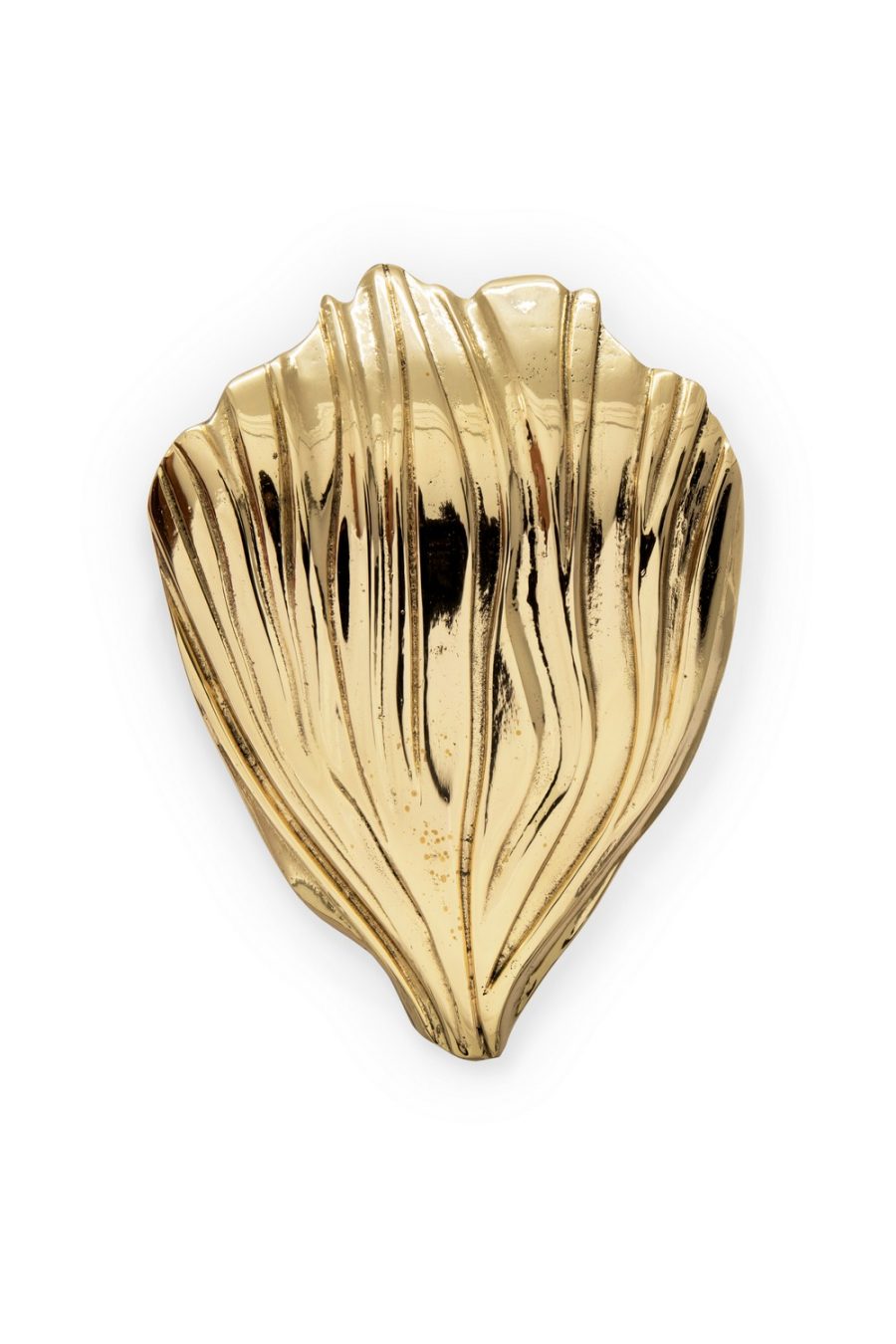 Sea CreatureInspired Decorative Hardware for a Home Decor Freshen Up