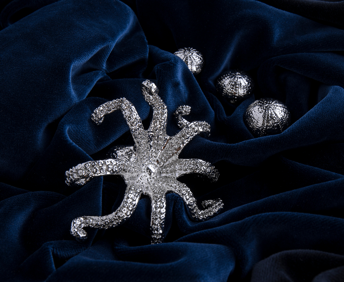 Sea CreatureInspired Decorative Hardware for a Home Decor Freshen Up