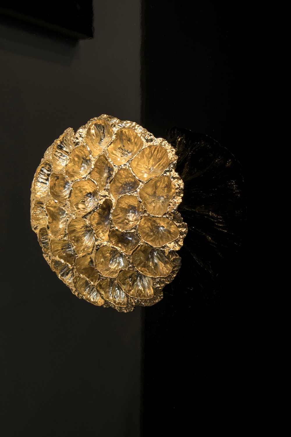 Jewelry Hardware Bring Nature to Your Interiors with the Comb Family 5