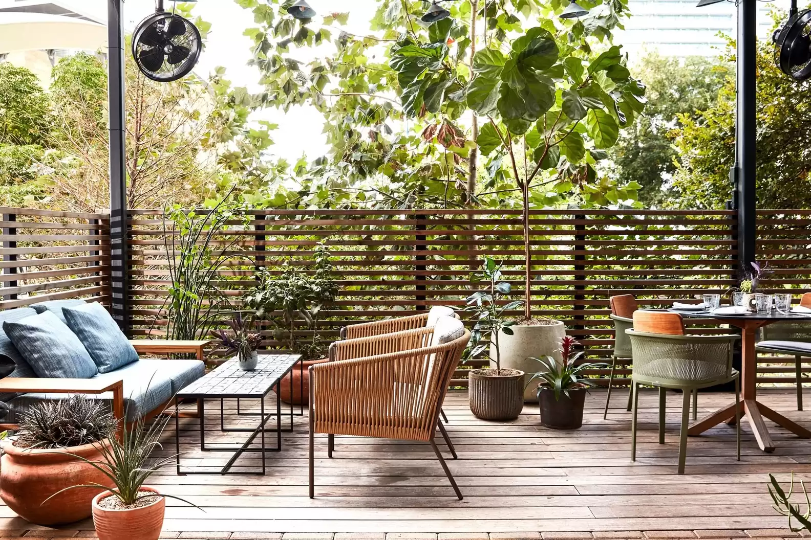 Austin Discover The Best Terraces For This Spring