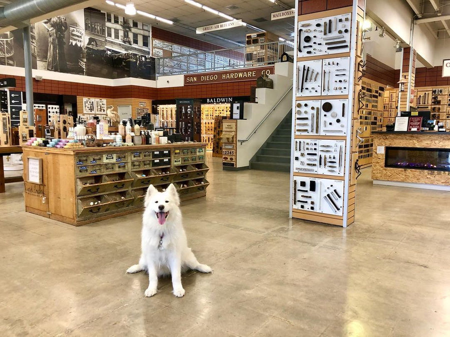TRADITION MEETS LUXURY HARDWARE: PULLCAST NEW RESELLER IN THE USA - Coconut, the samoyedo, at San Diego Hardware Showroom