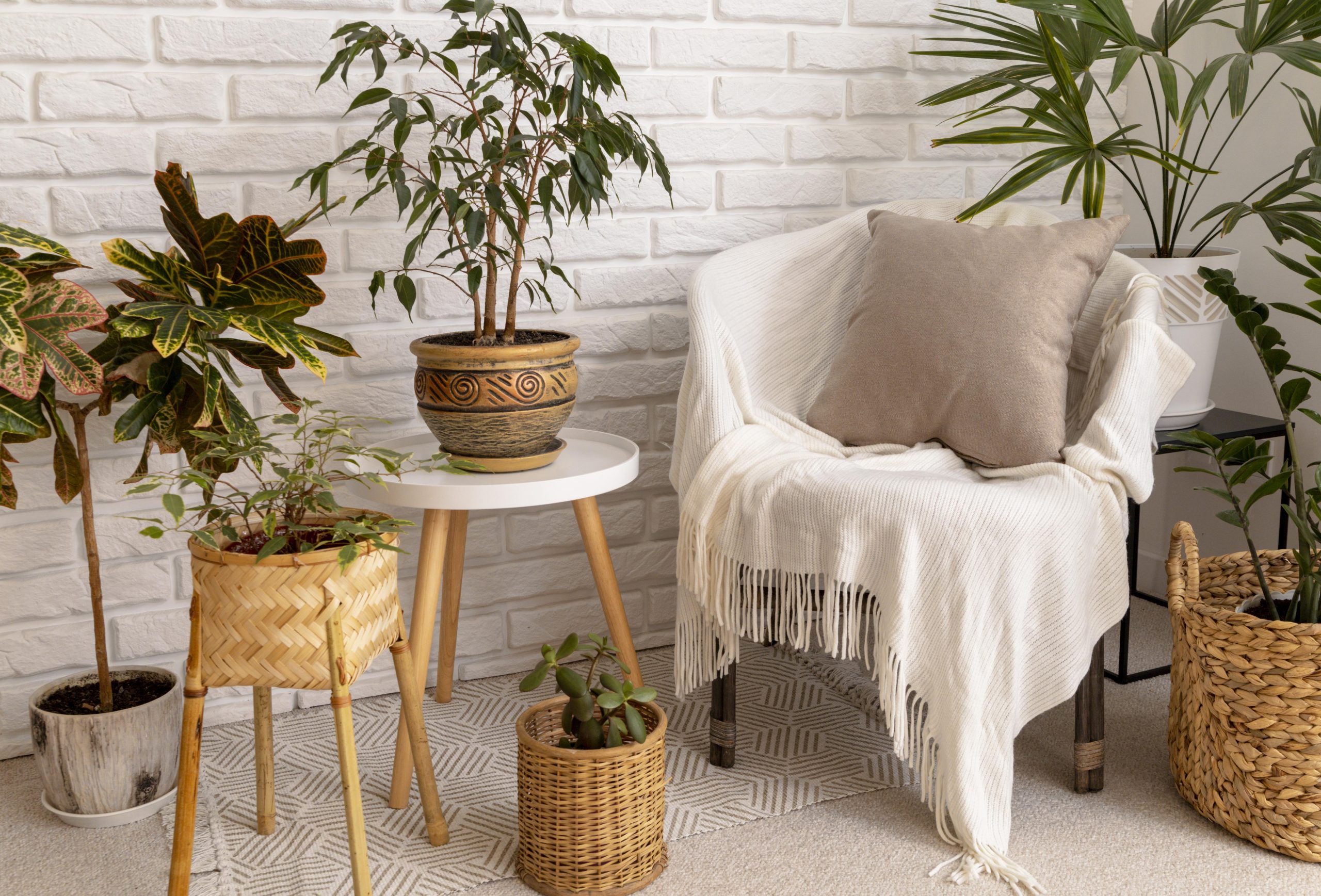 BRING NATURE INTO YOUR HOME - HOW TO EMBRACE WINTER GREENERY