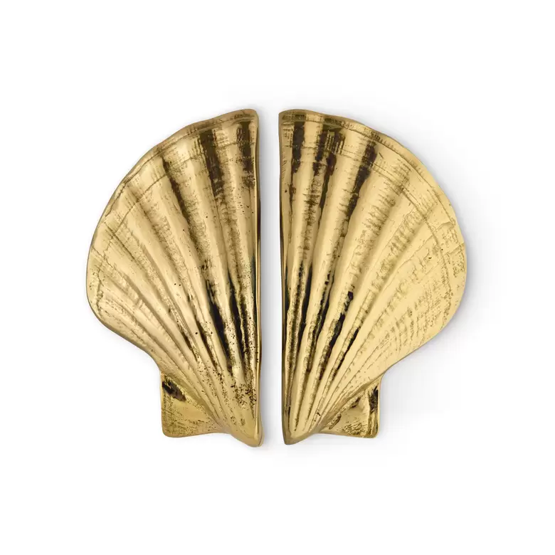 seashell drawer handle