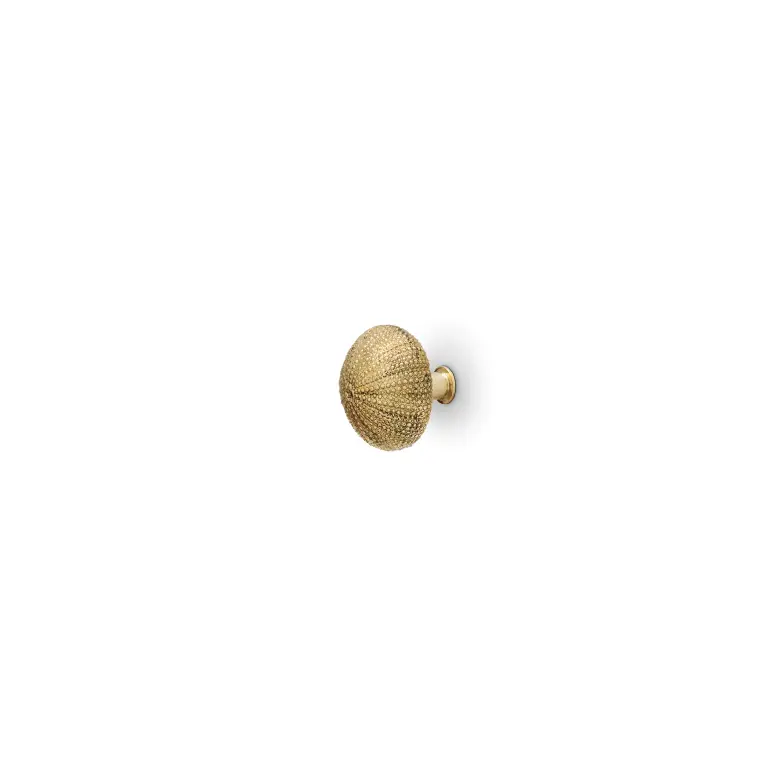 urchin
