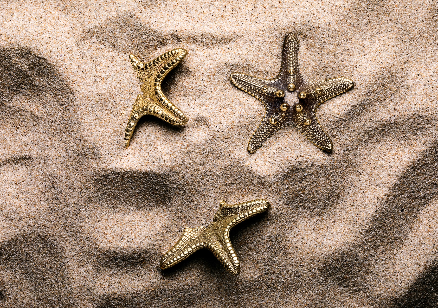 Ocean Collection