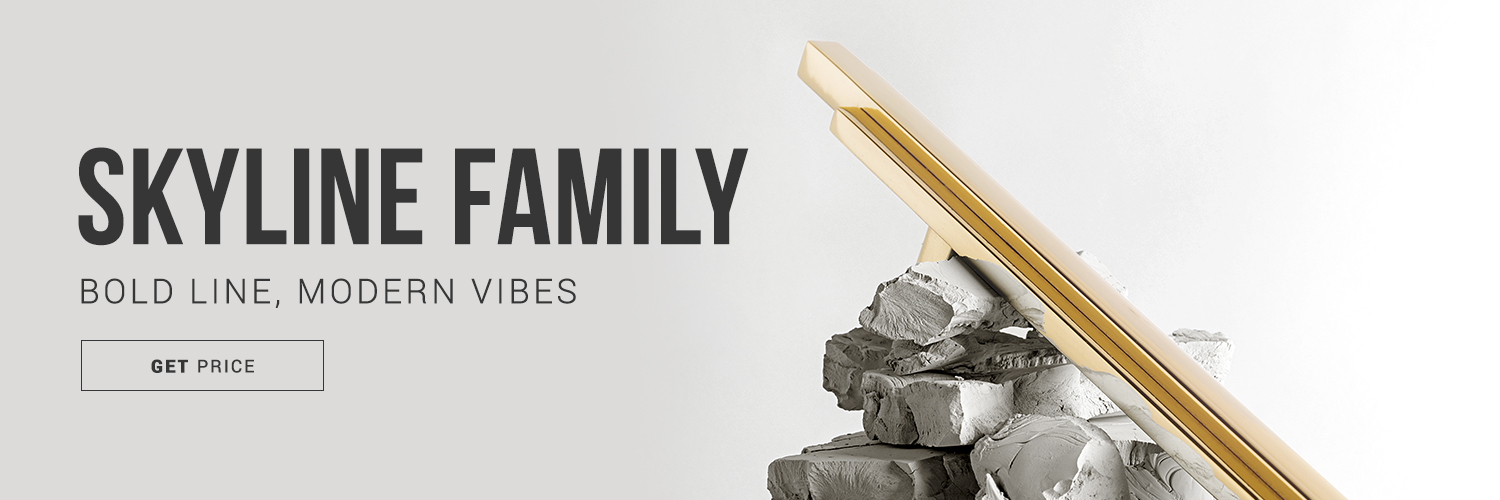 skyline family banner
