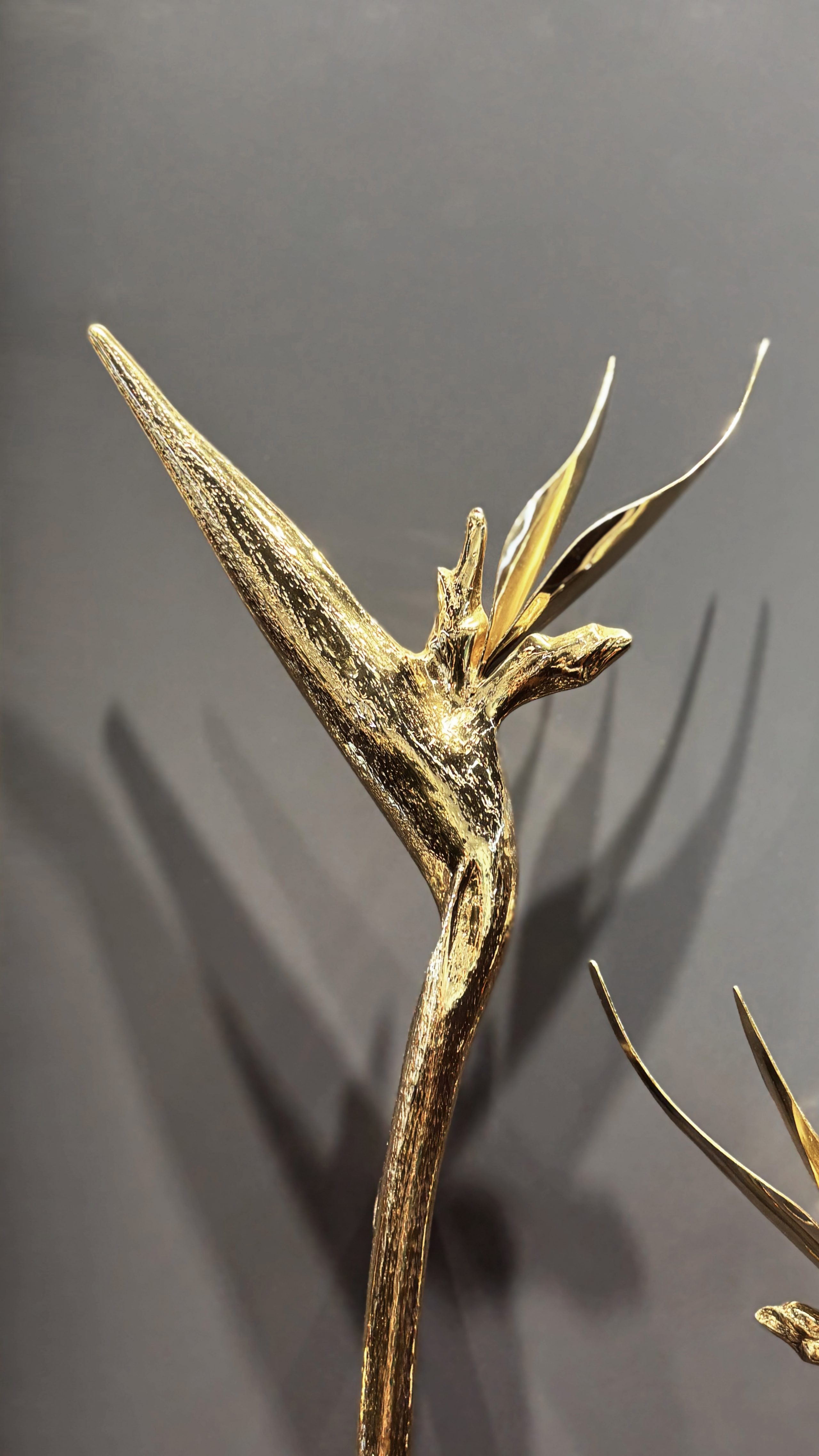 PullCast Highlights at Maison