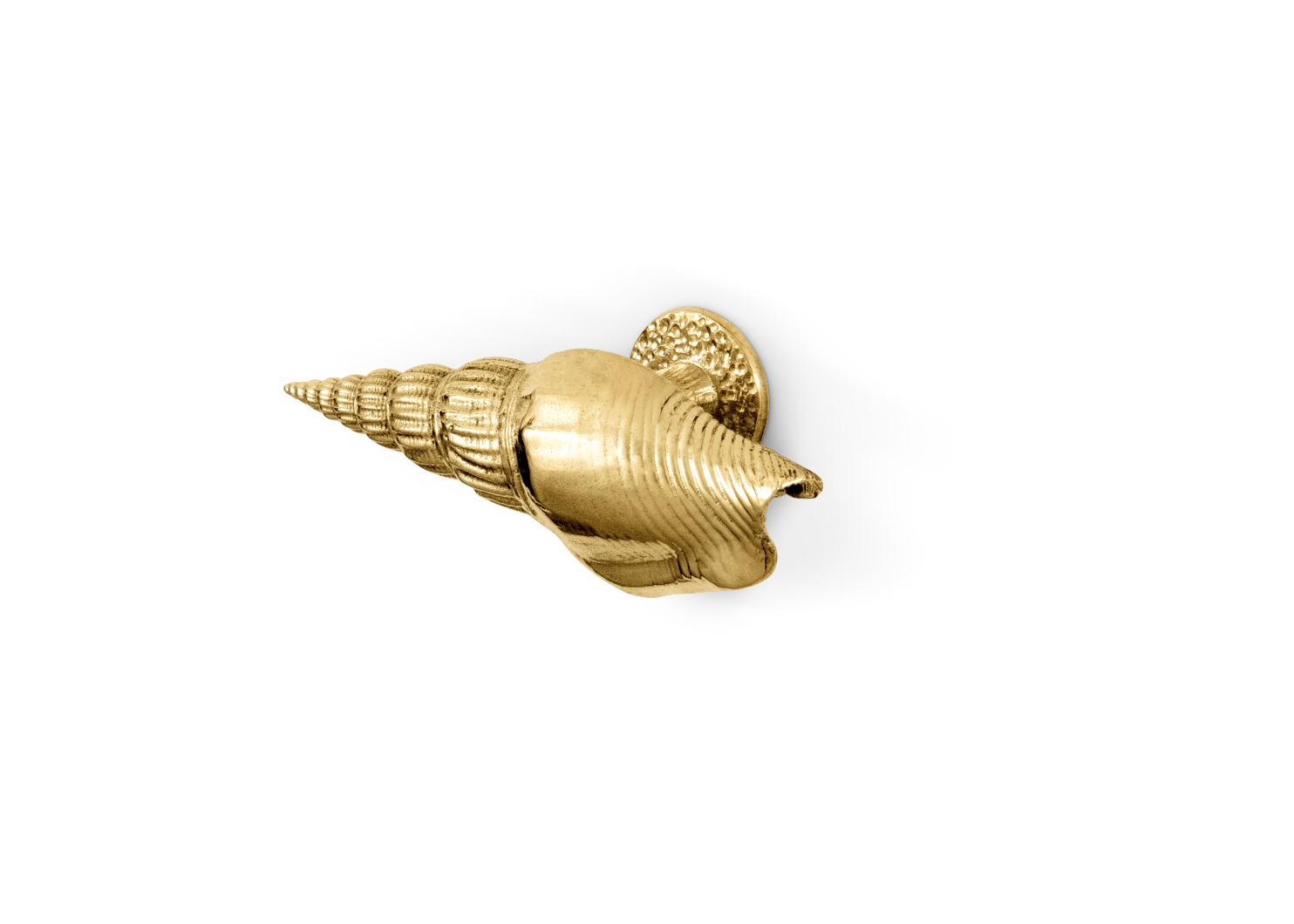 Seashell Decor: 8 Seaside Treasures to Add to Your Home Interiors